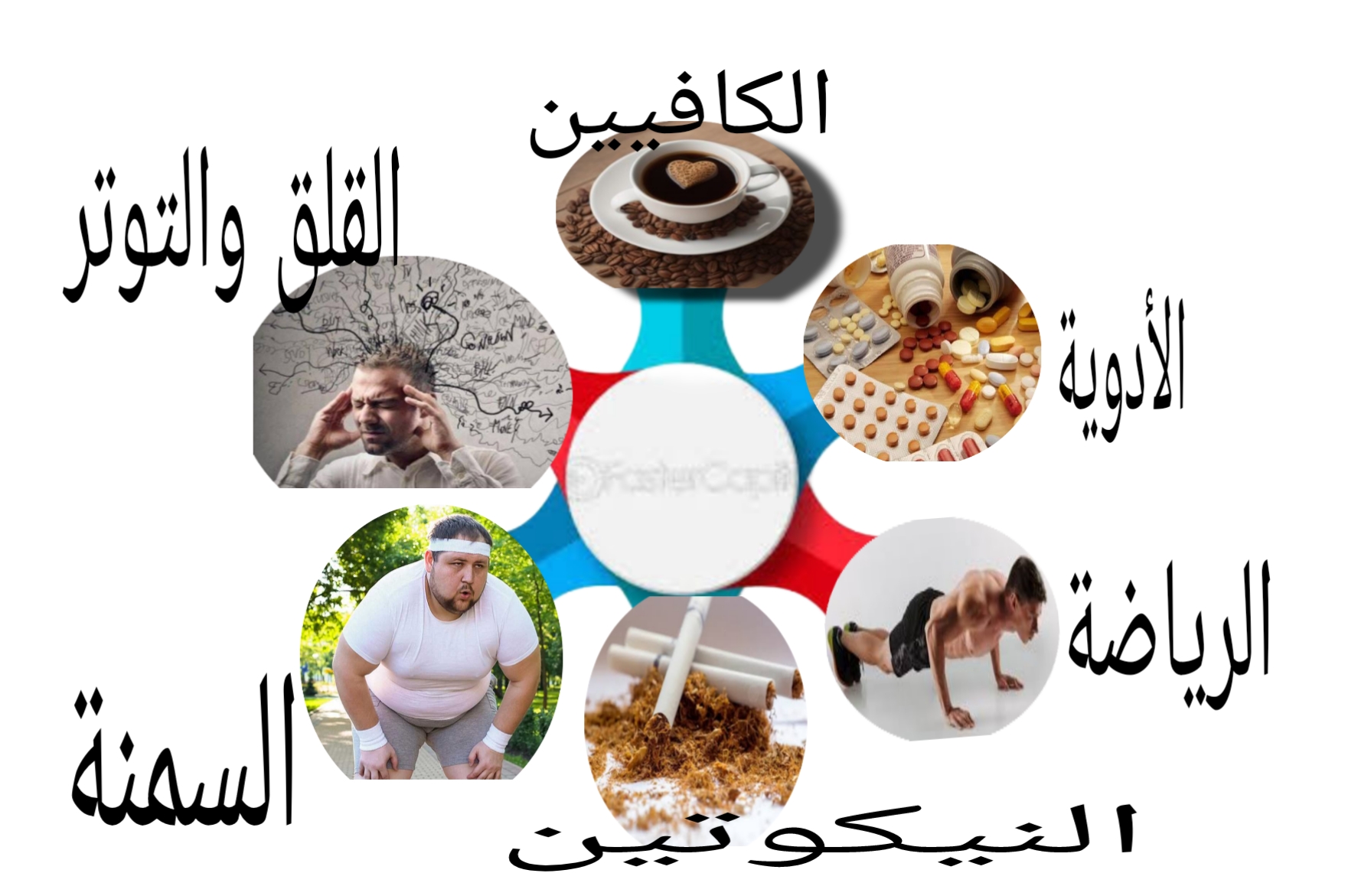 العوامل التي تؤثر على ضربات القلب 