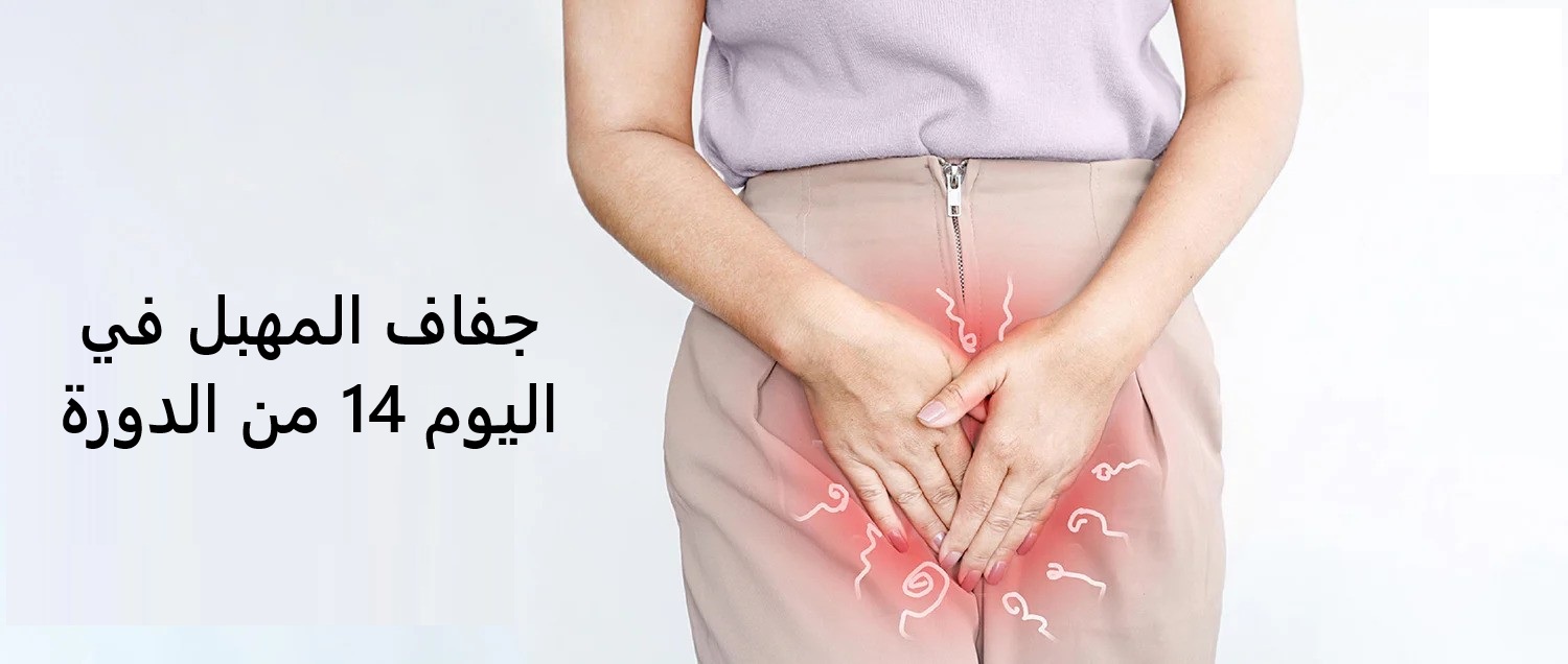 جفاف المهبل في اليوم 14 من الدورة
