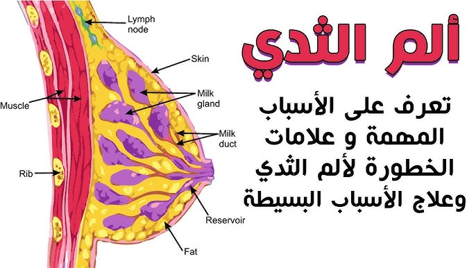 ألم في الثدي الأيسر وقت الدورة