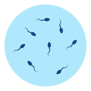 علاج تشوه الحيوانات عند الرجل بالاعشاب