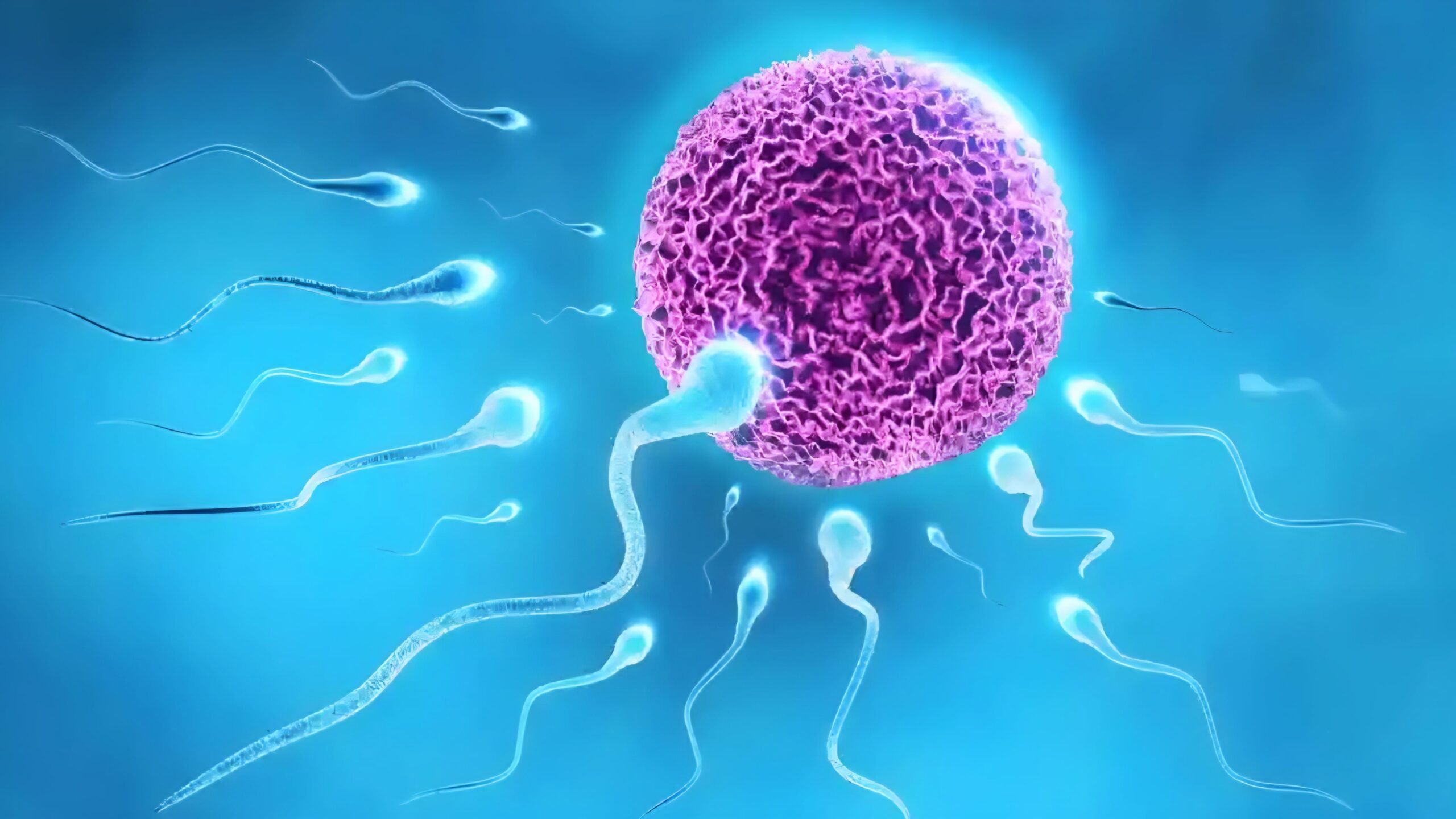 ما هو الفرق بين العقم وضعف الخصوبة عند الرجال؟