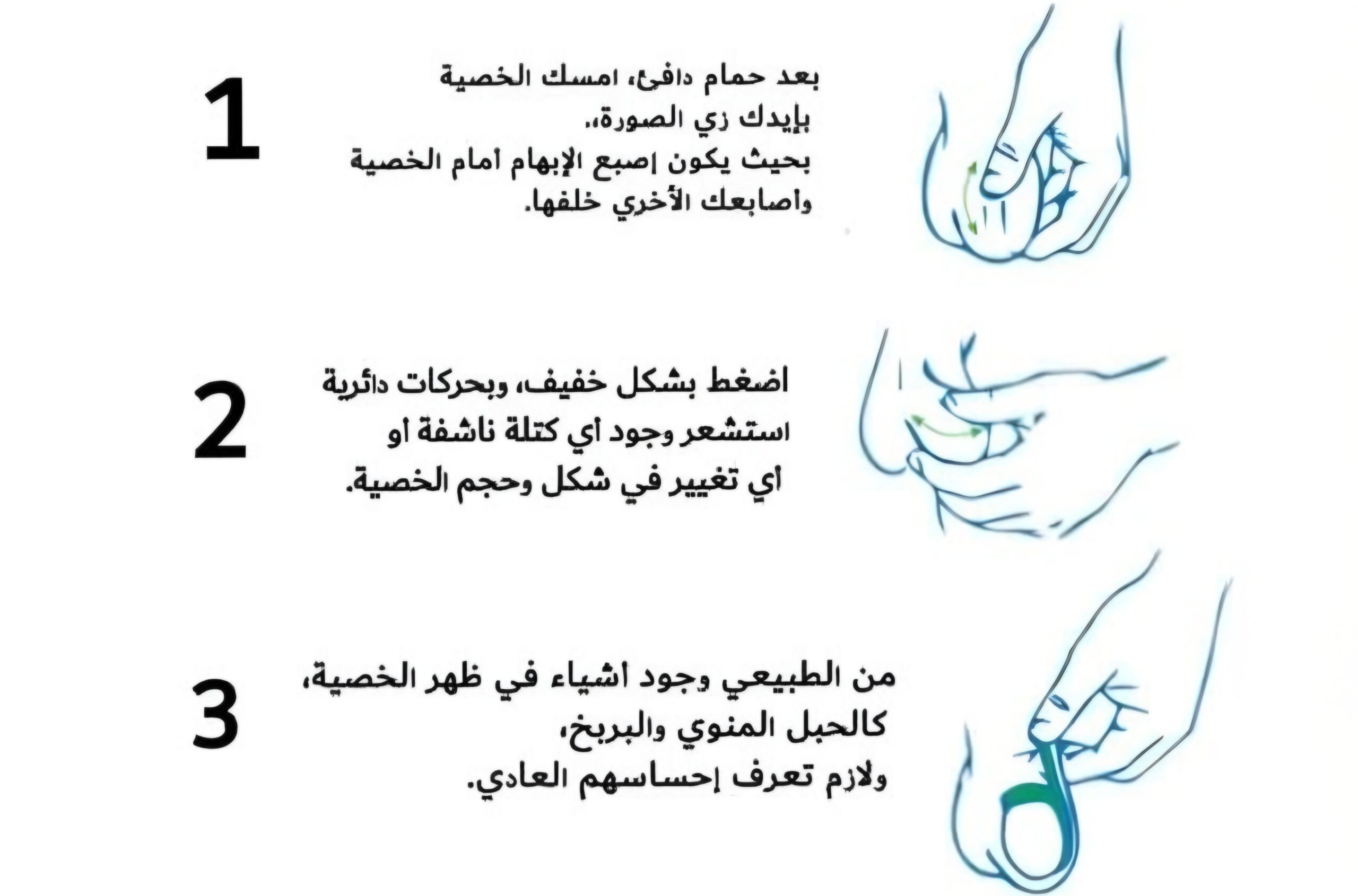 خطوات الفحص الذاتي لسرطان الخصية 