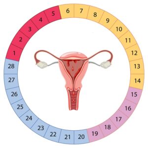 أسباب قلة دم الدورة فجأة للمتزوجة