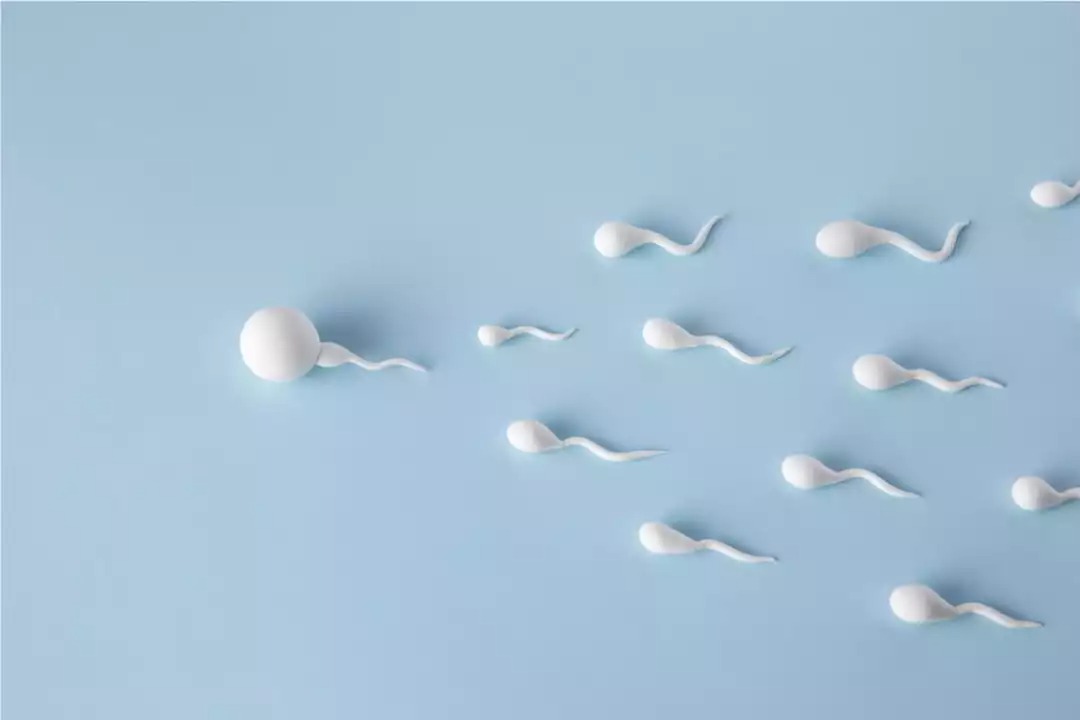 أفضل علاج لزيادة مني الرجل